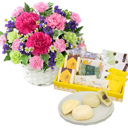 Gorgeous Arrangement And Collection Of Kinoka Japanese Sweets Gift 7 Types 14 Pieces