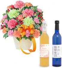 Carnation Mixed Arrangement And Mother'S Day Limited ◆ Kiuchi Plum Wine / Plum Fruit Wine Set