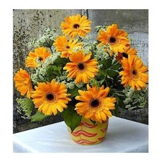Flower Baskets-292
