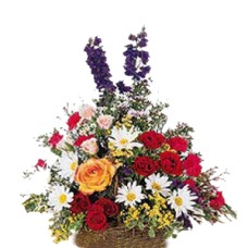 Flower Baskets-254