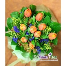 10pcs Tulips