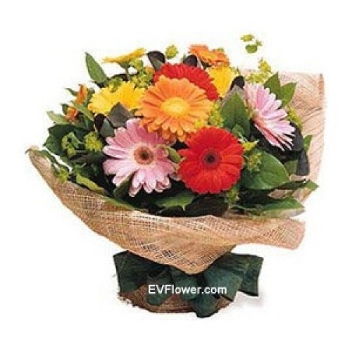 10pcs Gerberas