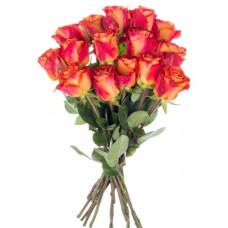 Bouquet Of 15 Orange Roses (Refined)