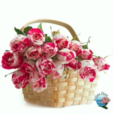 Basket of white roses tinged with pink (Deluxe)