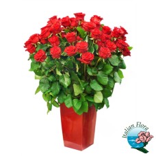50 red roses bouquet (Deluxe)