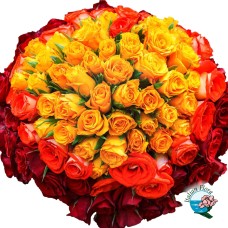 100 mix red orange and yellow roses (Deluxe)