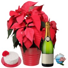 Red poinsettia with cake and sparkling wine (Deluxe)