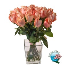 Bunch of 18 Salmon Roses (Deluxe)