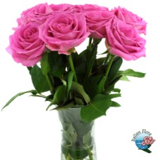 Bouquet of 9 hot pink roses (Deluxe)