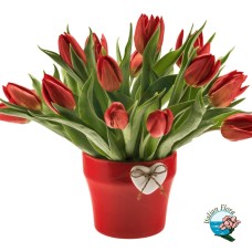 Bouquet of red tulips (Deluxe)
