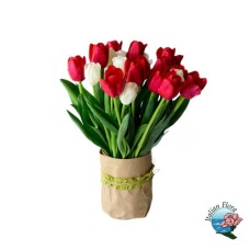 Red and white tulips bouquet (Deluxe)