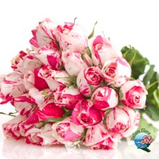 Bouquet of 24 white roses tinged with pink (Deluxe)