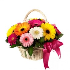 Basket Of Colour Gerberas (Deluxe)