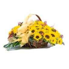 Basket Of Sunflowers (Deluxe)