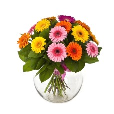 Bouquet Of Multi-Coloured Gerberas (Deluxe)