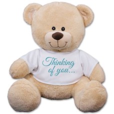 Thinking of You Teddy Bear - 17