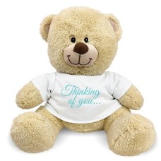 Thinking Of You Teddy Bear - 17 (17 inch teddy)