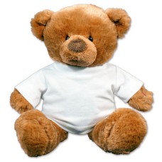 Andrew Talking Teddy Bear - 11
