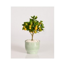 Little Lemon