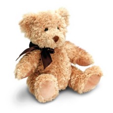Personalised Teddy Bear â€“ Forest