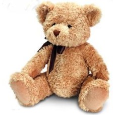 Graduation Teddy Bear