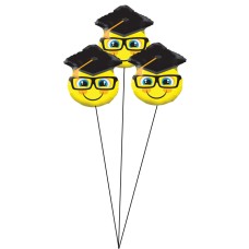Grad Smiley