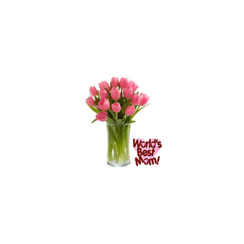 Pink Tulips