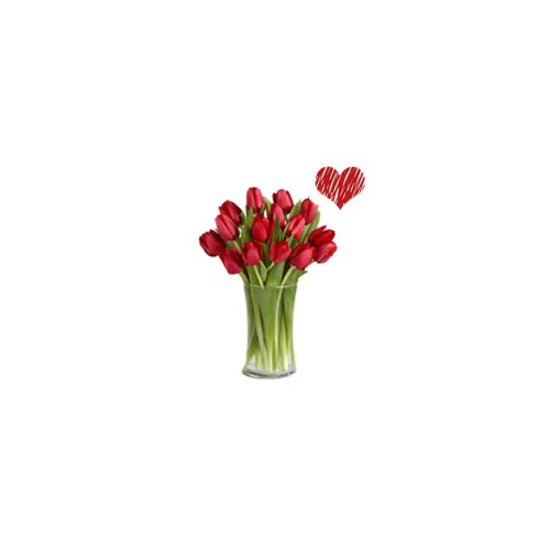 Red Tulips
