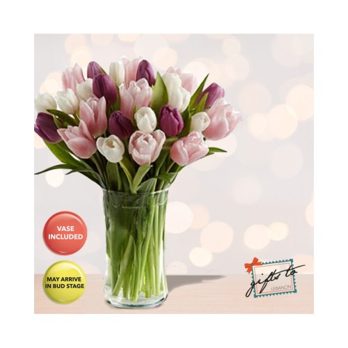 Charming Tulips