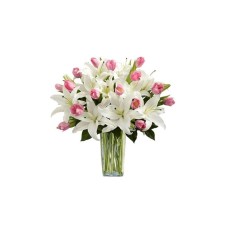 Tulip Lilies