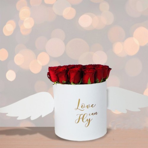 Love Can Fly