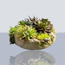 Evergreen Table Pot