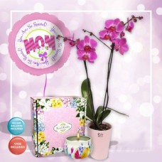 Purple Orchids And Scented Candles Set