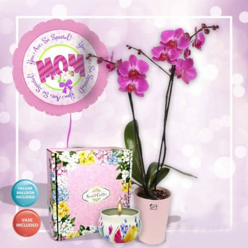 Purple Orchids And Scented Candles Set