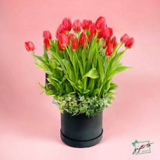 SELECT SIZE: Passionate Red Tulips Garden