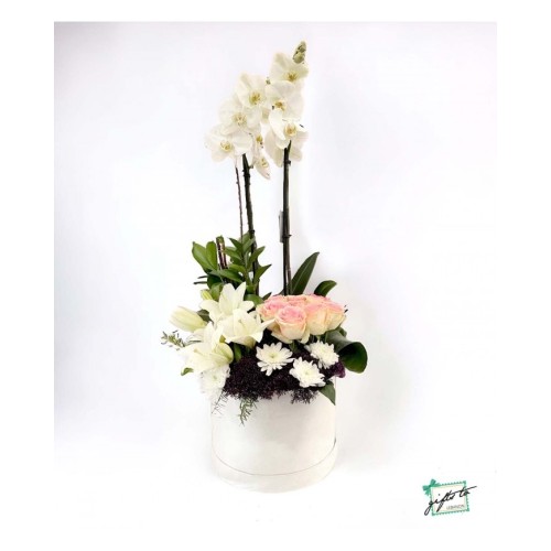 Radiant Orchid Rose Bouquet