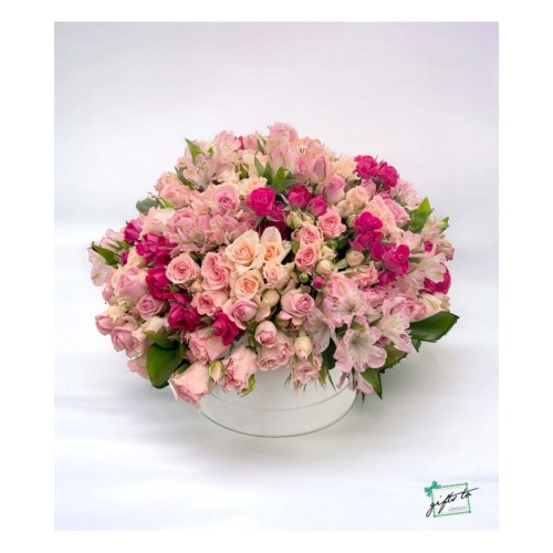 Royal Garden Of Baby Roses