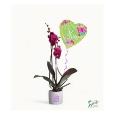 LOVE YOU MOM Double Stem Purple Orchids