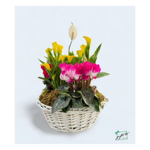 Garden Spring Splendor Basket