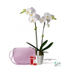 PUPA MILANO and Double Stem Orchid Gift Bundle