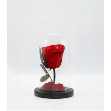 Eternal Red Rose in Glass Dome - A Timeless Symbol of Love