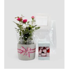 Everlasting Love Baby Rose and Assorted Chocolates Bundle