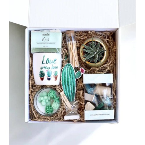 Love Grows Here Succulent and Assorted Chocolates Gift Box