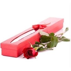 Only For You