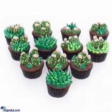 Cactus Lovers Cupcakes - 12 Pieces