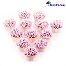 Hydrengia Vanila Cupcakes- 12 Piece Pack
