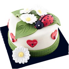 Ladybird Love