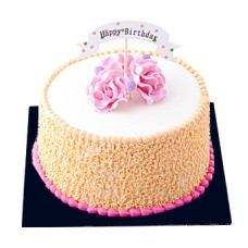 Birthday Celebration