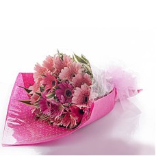 Bunch Of Gerberas For The Sweetest Angel