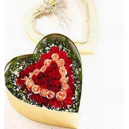 Heart of Love